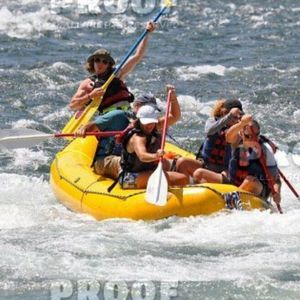 Meet your Posher, Jesse